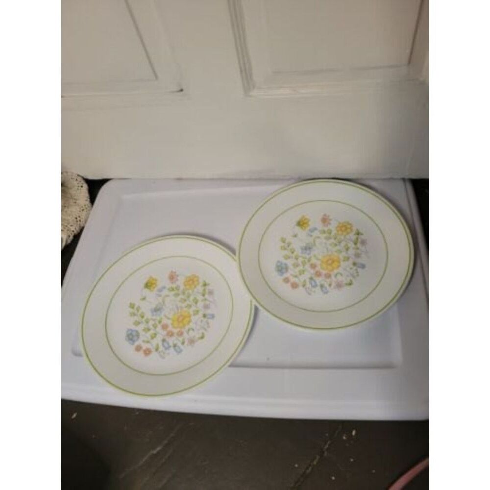Corelle Vintage SPRING MEADOW 10 in Dinner Plates - SET OF 2- Retro-Sunflowers